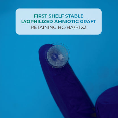 lyophilized amniotic membrane ocular grafts