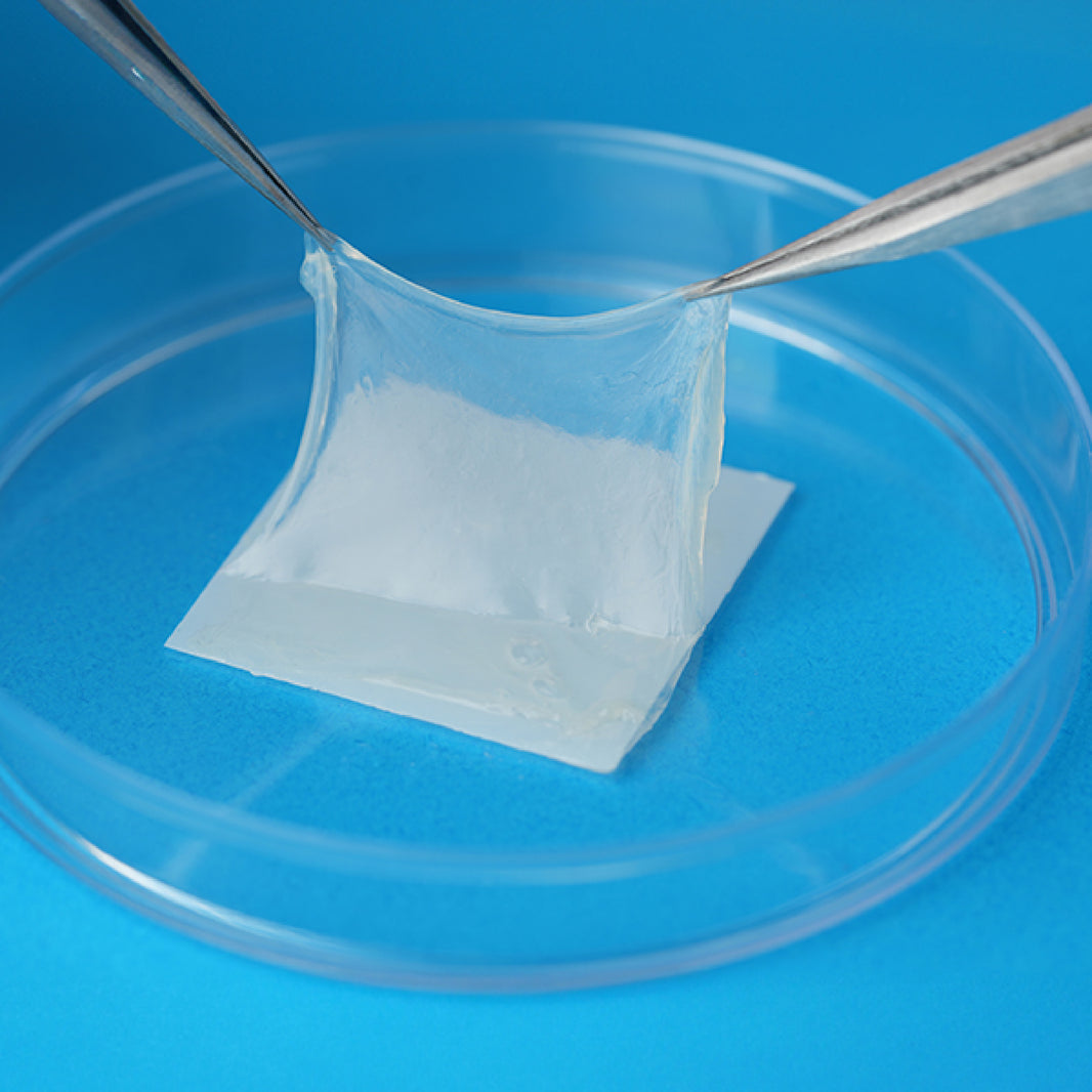 Human Placental Tissue–Based Allograft Products – Cellution Biologics