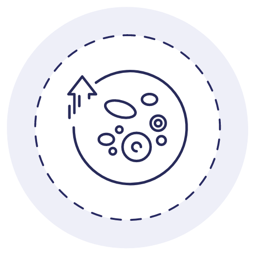 Harnessing The Power Of Nature